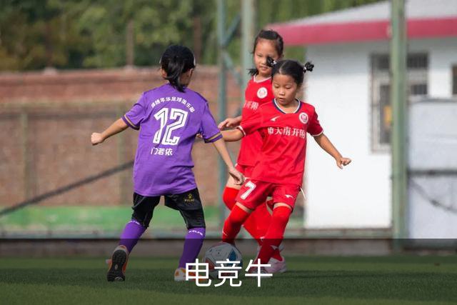 电竞牛公司简介